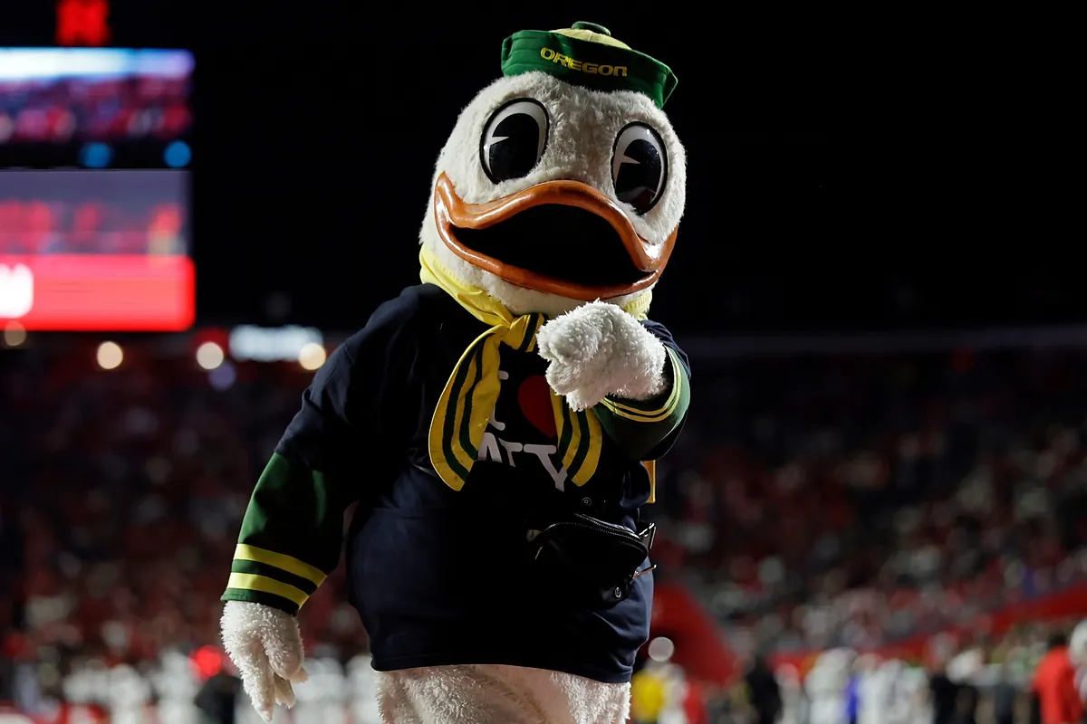 Beyond Rankings: Essential Duck Hunting Forum Insights